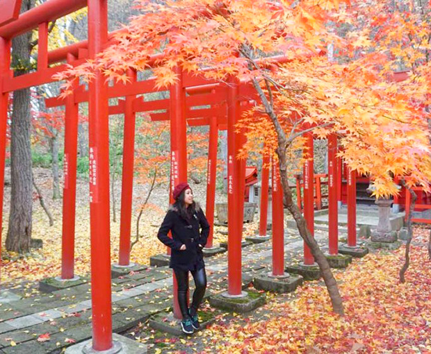 TOUR NHẬT BẢN MÙA THU 5N4Đ | SAPPORO - NOBORIBETSU - TOYA - OTARU