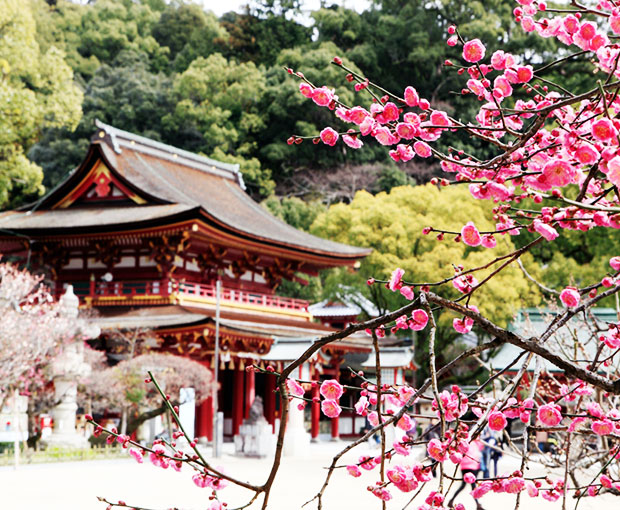 Du lịch Nhật Bản mùa Xuân Fukuoka - Kitakyushu 5 ngày 5 đêm từ Sài Gòn