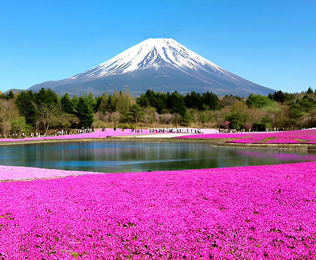 Du lịch Nhật Bản Hè 2025 - Osaka - Kyoto - Yamanashi - Fuji - Tokyo từ Sài Gòn