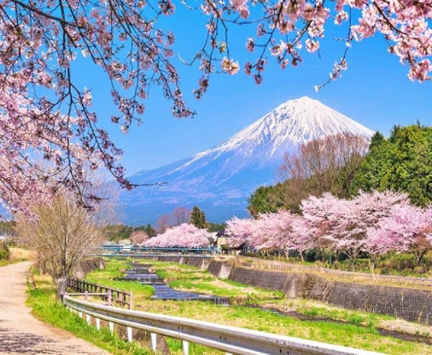 Tour Nhật Bản mùa Hoa Anh Đào - Osaka - Kobe - Nagoya - Fuji - Tokyo từ Sài Gòn