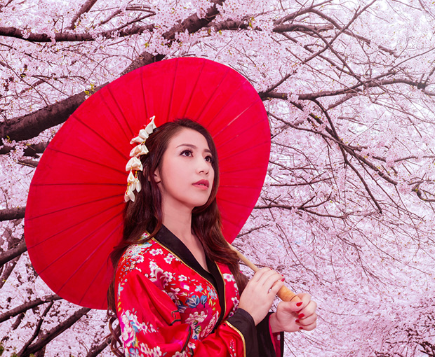 Du lịch Nhật Bản mùa Hoa Anh Đào Shizuoka - Tokyo - Núi Phú Sĩ - Yamanashi từ Hà Nội