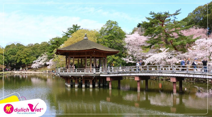 Du lịch Nhật Bản mùa hoa Anh Đào Nagaya - Osaka - Fuji - Tokyo từ Hà Nội giá tốt