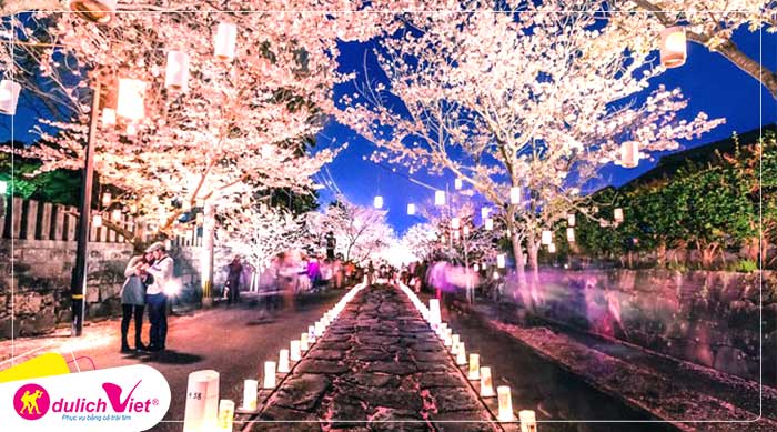 Du lịch Nhật Bản mùa hoa Anh Đào Osaka - Kyoto - Fuji - Tokyo từ Hà Nội giá tốt