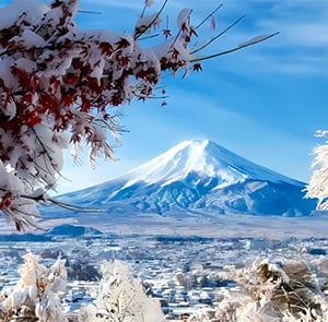 TOUR NHẬT BẢN MÙA ĐÔNG 5N5Đ | OSAKA - KOBE - KYOTO - YAMANASHI - FUJI - TOKYO BAY VIETNAM AIRLINES