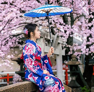 Du lịch Nhật Bản mùa Hoa Anh Đào - Osaka - Nara - Kyoto - Yamanashi - Núi Phú Sĩ - Tokyo từ Sài Gòn 2025