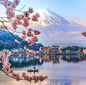TOUR NHẬT BẢN MÙA HOA ANH ĐÀO 4N4Đ | NÚI PHÚ SỸ - TOKYO - CHIBA