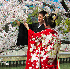 Du lịch Nhật Bản mùa Hoa Anh Đào Tokyo - Fujimoutain - Nagoya - Kyoto - Osaka từ Hà Nội