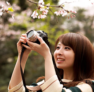 Du lịch Nhật Bản mùa Xuân - Tokyo - Hakone - Fuji - Odaiba từ Sài Gòn 2025