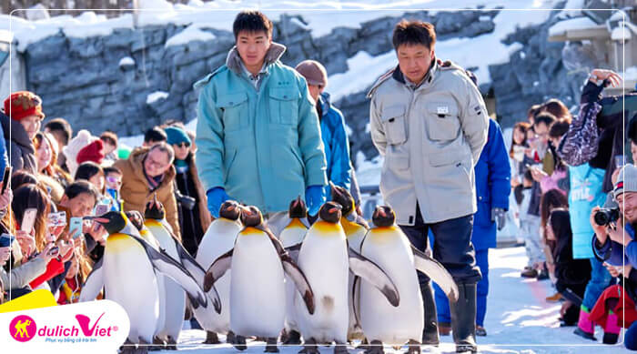 Du lịch Nhật Bản mùa Thu - Hokkaido - Asahikawa - Sounkyo - Biel - Furano - Sapporo từ Sài Gòn 2025