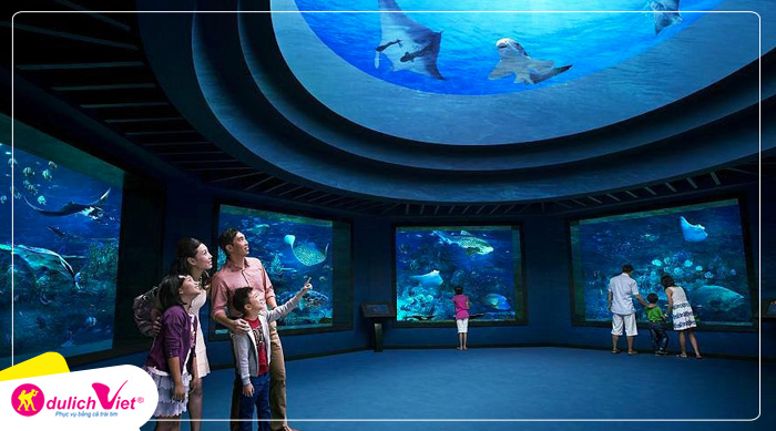 Công viên Hải dương (S.E.A. Aquarium)