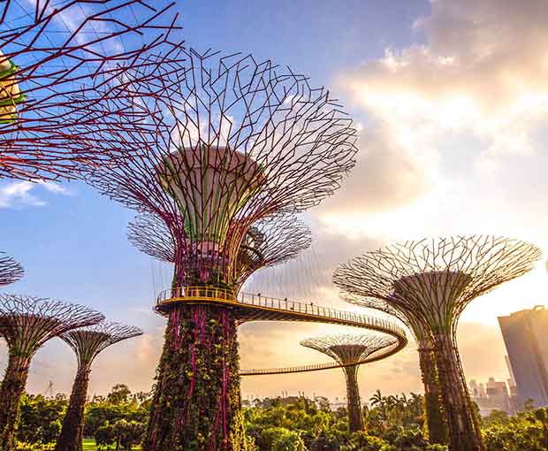 TOUR SINGAPORE MÙA THU 4N3Đ | SENTOSA - GARDEN BY THE BAY ( 1 ngày tự do)
