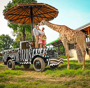 Du lịch Thái Lan mùa Thu 2025 - Safari World - Đảo Coral - Baiyoke Sky từ Sài Gòn