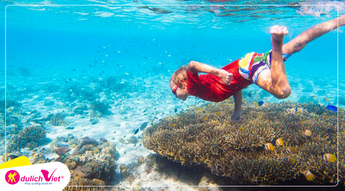 lan-ngam-san-ho-dao-coral-du-lich-viet