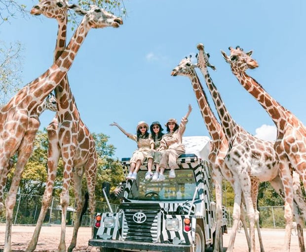 Du lịch Thái Lan Tết Nguyên Đán - Safari - Đảo Coral - Baiyoke Sky từ Sài Gòn 2025