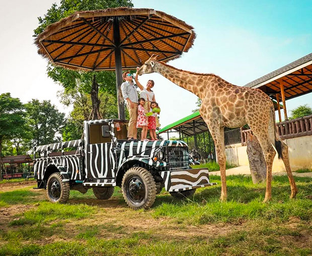 Du lịch Thái Lan mùa Thu 2025 - Safari World - Đảo Coral - Baiyoke Sky từ Sài Gòn