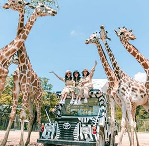 Du lịch Thái Lan Tết Nguyên Đán - Safari - Đảo Coral - Baiyoke Sky từ Sài Gòn 2025
