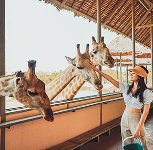 Du lịch Thái Lan Hè 2025 - Safari World - Đảo Coral - Baiyoke Sky từ Sài Gòn