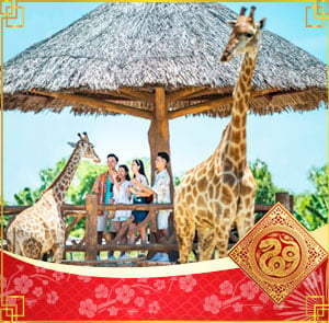 Du lịch Thái Lan Tết Âm lịch - Vườn thú Safari - Đảo Coral từ Sài Gòn 2026