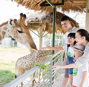 TOUR THÁI LAN MÙA THU 5N4Đ | CHECK-IN BIỂN JOMTIEN - CHỢ NỔI - SAFARI WORLD