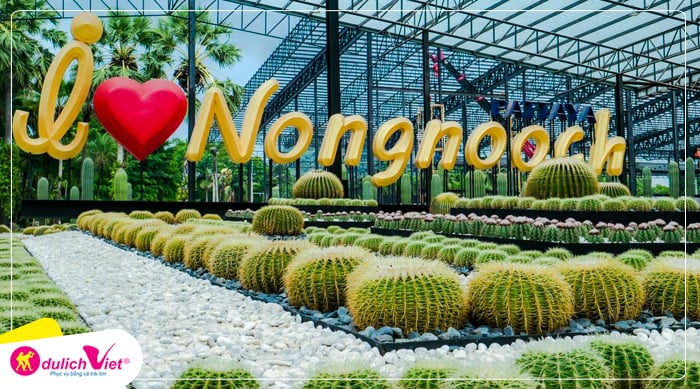 vuon-hoa-nong-nooch-du-lich-viet