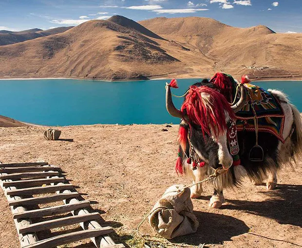 TOUR TÂY TẠNG MÙA HÈ 7N6Đ | LÂM CHI - LHASA - SHIGATSE