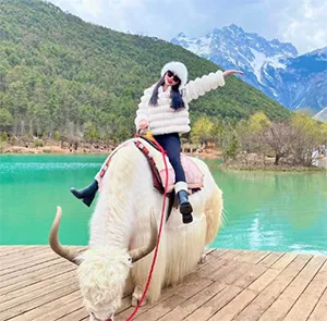 TOUR TRUNG QUỐC MÙA HÈ 6N5Đ | CÔN MINH - ĐẠI LÝ - LỆ GIANG - SHANGRILA (No Shopping)