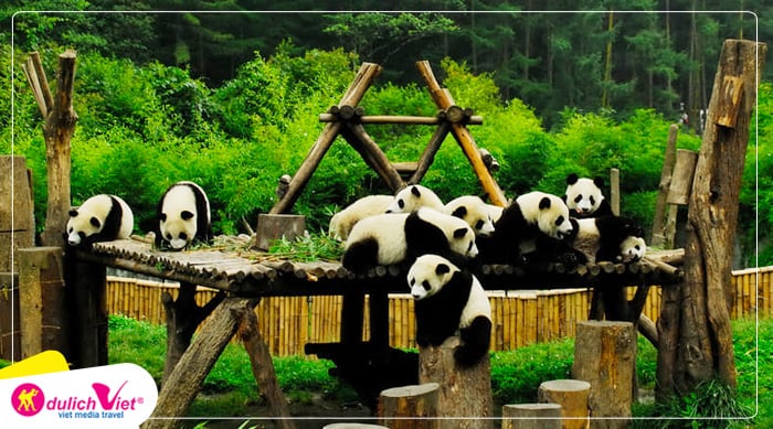 Đoàn đến với cở sở Gấu Trúc Đô Giang Yển