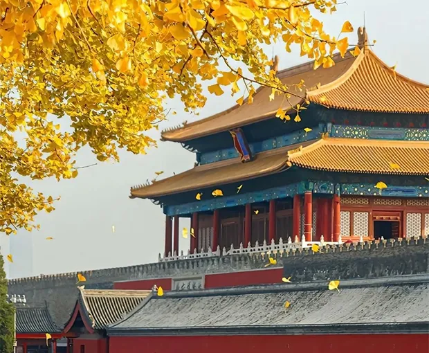 TOUR TRUNG QUỐC MÙA THU 6N6Đ | BẮC KINH - HÀNG CHÂU - Ô TRẤN - THƯỢNG HẢI
