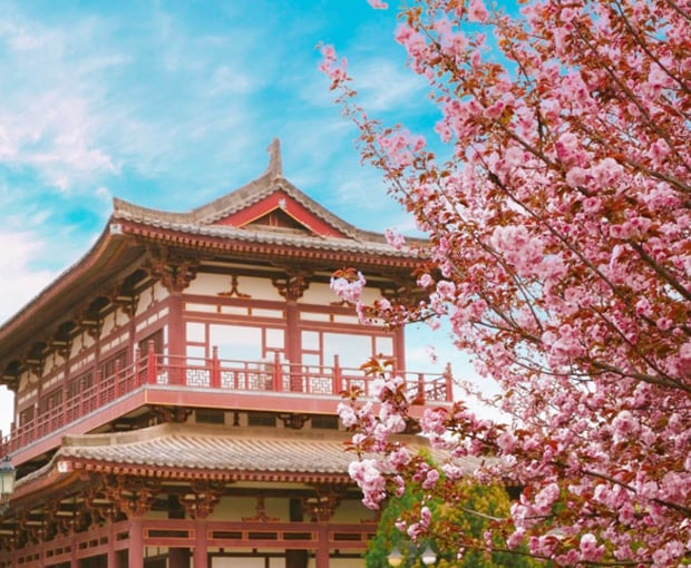 Du lịch Trung Quốc mùa Xuân - Nghi Xương - Trương Gia Giới - Phượng Hoàng Cổ Trấn từ Sài Gòn 2025