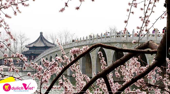 Du lịch Trung Quốc mùa hoa Anh Đào 7 ngày 6 đêm từ Sài Gòn giá tốt