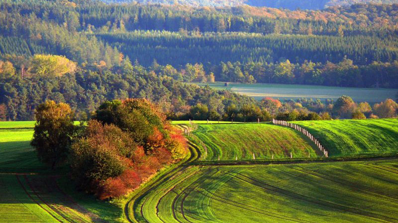 Kellerwald-Edersee mang một vẻ đẹp mỹ miều lãng mạn khi thu về