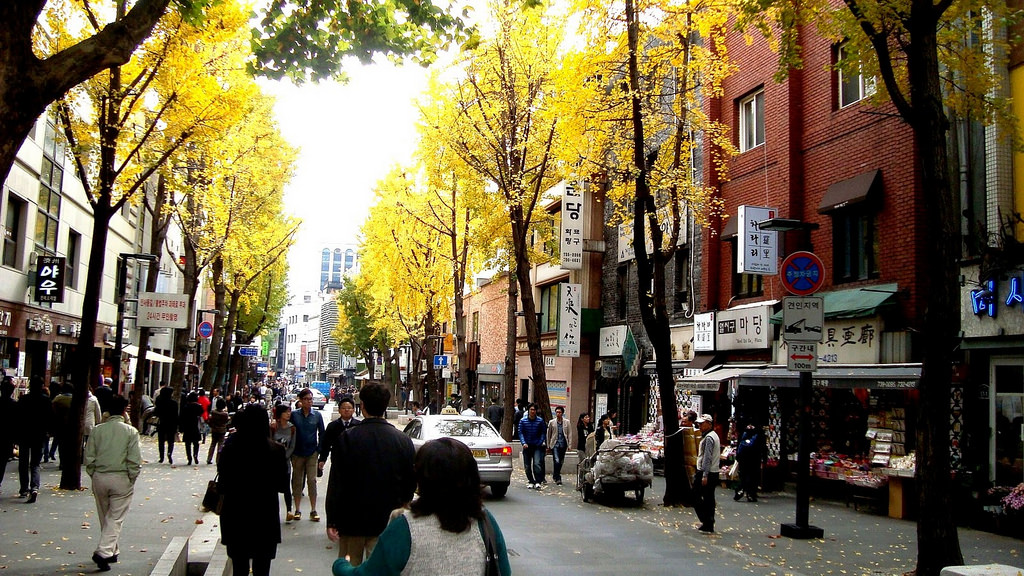 Hàng cây xanh lá trên phố Insadong chuyển sắc vàng khi thu sang