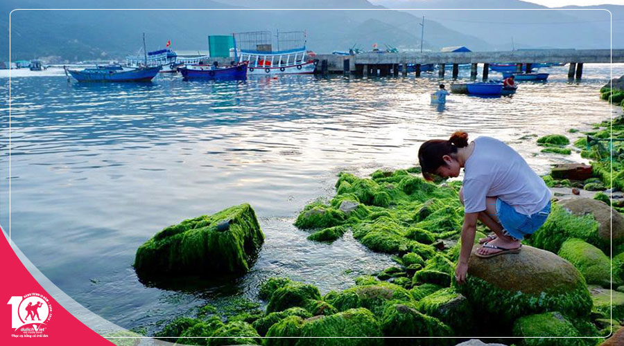 Du Lịch Tết Dương Lịch 2025 Đảo Bình Hưng - Ninh Chữ 3 ngày từ Sài Gòn