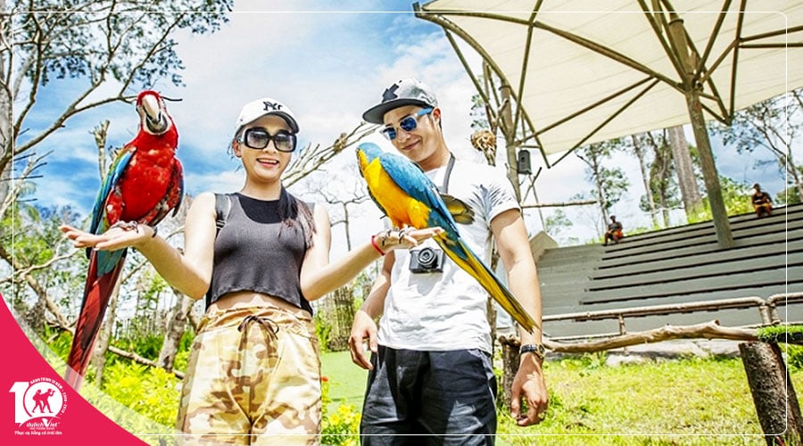 Du lịch Tết nguyên đán 2025 - Tour Phú Quốc 3 ngày bay Vietnam Airlines