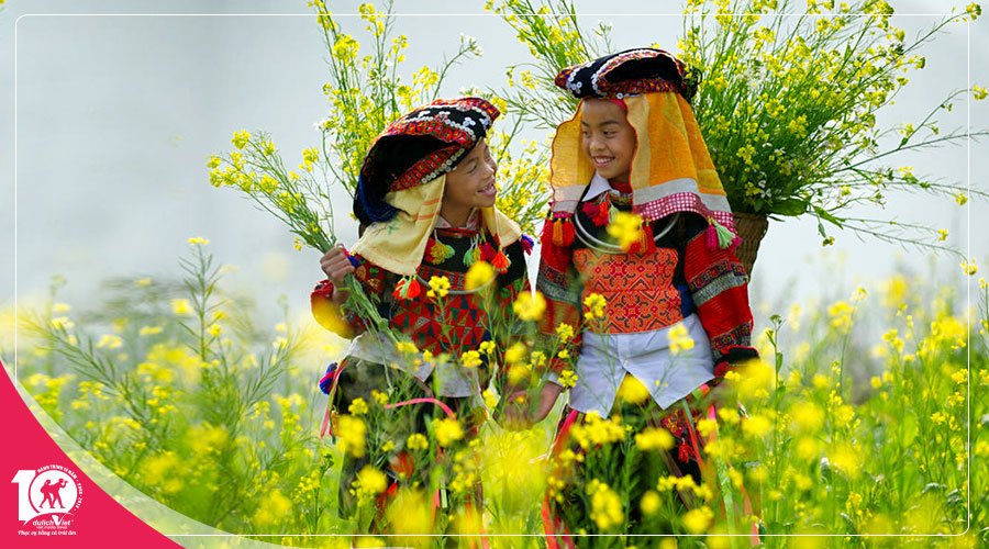 Du lịch Miền Bắc - Hà Giang - Lũng Cú - Phú Thọ 5 ngày Tết Dương Lịch 2025