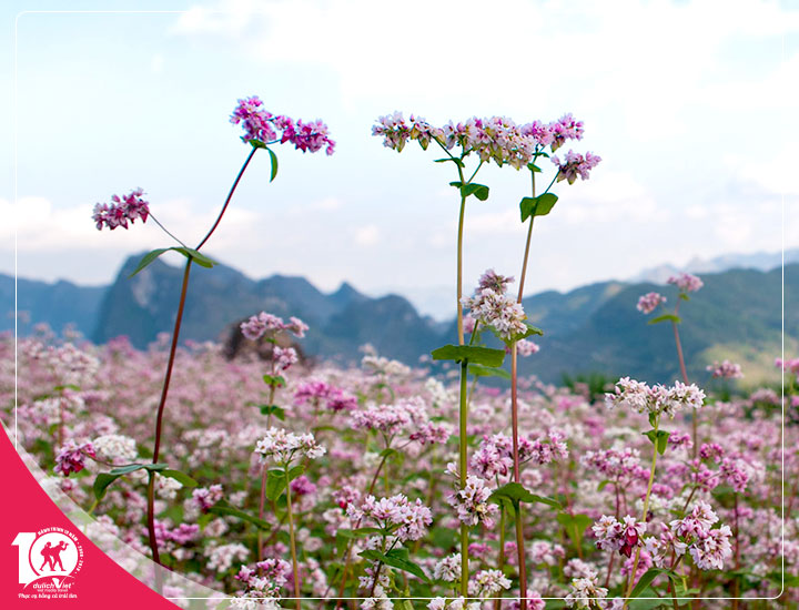 Du lịch Hà Nội - Hà Giang - Cao Bằng - Thác Bản Giốc 5 Ngày Đi từ Sài Gòn