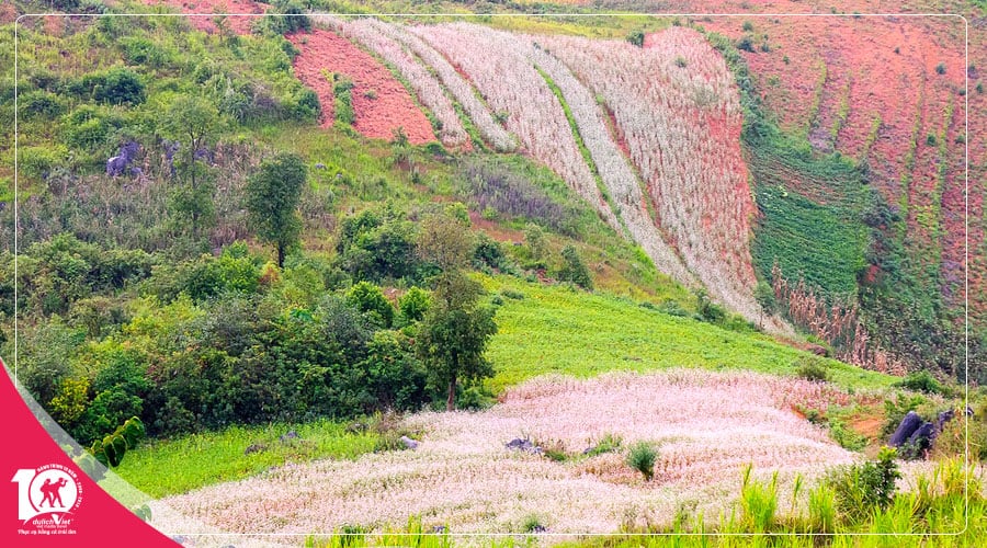 Du lịch Miền Bắc - Hà Giang - Lũng Cú - Phú Thọ 5 ngày Tết Dương Lịch 2025