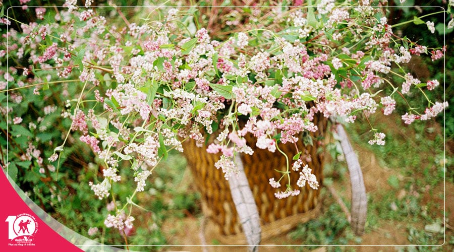 Du Lịch Hà Nội - Hà Giang - Đồng Văn - Lũng Cú 6 ngày đi từ Sài Gòn