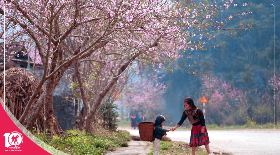 Du lịch Miền Bắc - Đông Bắc - Hà Nội - Hà Giang - Cao Bằng 5 ngày mùa Hoa Đào từ Sài Gòn