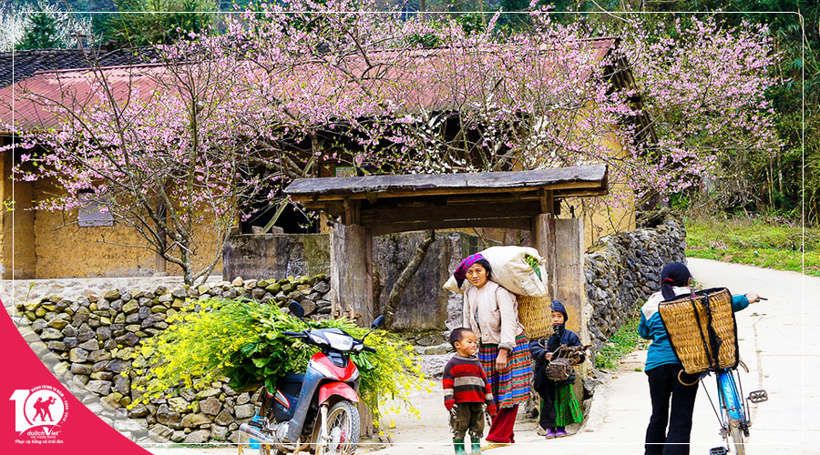 Du lịch Miền Bắc - Đông Bắc - Hà Giang - Đền Hùng 5 ngày ngắm hoa Đào nở