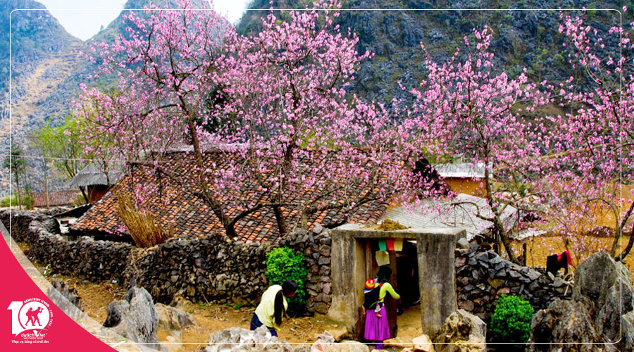 Du lịch Miền Bắc - Đông Bắc - Hà Giang - Đền Hùng 5 ngày ngắm hoa Đào nở
