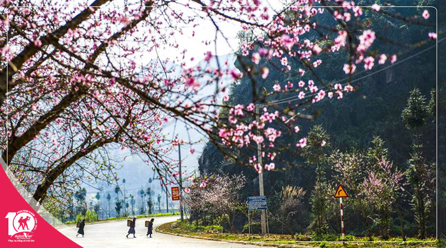 Du Lịch Miền Bắc, Tour Sapa - Fansipan 3 ngày khám phá mùa Hoa Đào