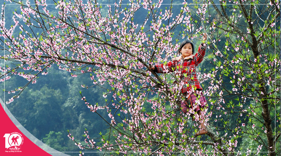 Du Lịch Miền Bắc, Tour Sapa - Fansipan 3 ngày khám phá mùa Hoa Đào