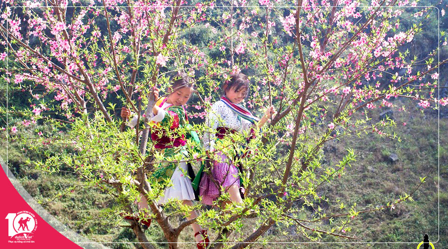 Du Lịch Miền Bắc, Tour Sapa - Fansipan 3 ngày khám phá mùa Hoa Đào
