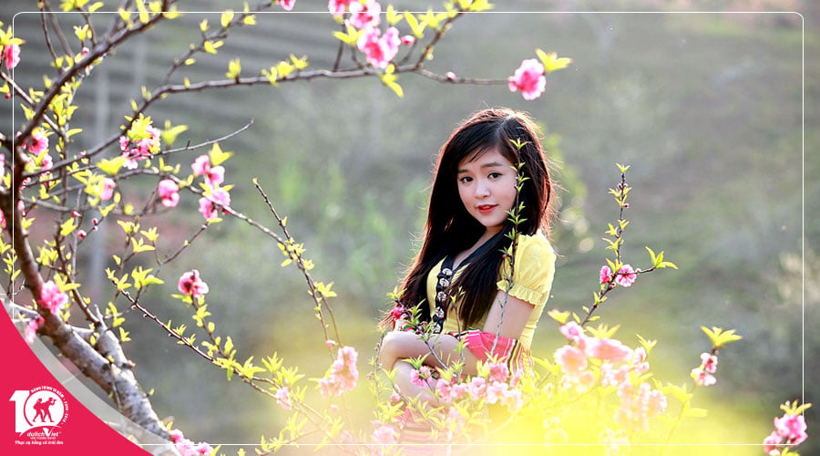Du lịch Miền Bắc - Tour Hà Nội - Hạ Long - Sapa 5 ngày chinh phục mùa hoa Đào