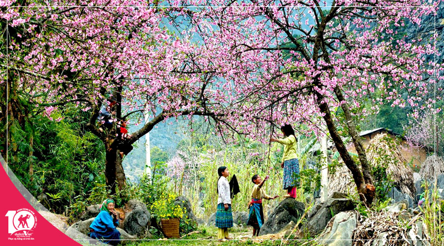 Du lịch Miền Bắc - Đông Bắc - Hà Giang - Đền Hùng 5 ngày ngắm hoa Đào nở