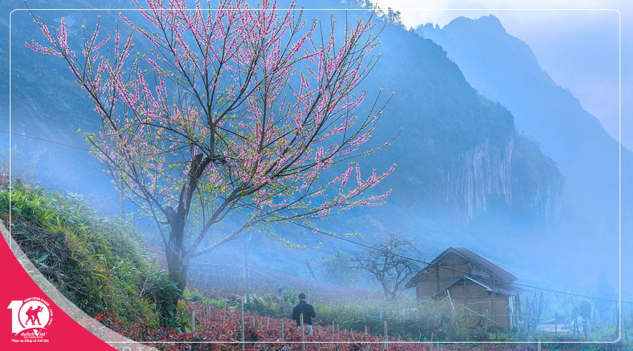 Du lịch Miền Bắc - Tour Hà Nội - Hạ Long - Sapa 4 ngày khám phá mùa hoa Đào