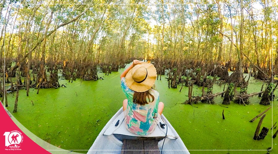 Du lịch Châu Đốc - Rừng Tràm Trà Sư 2 ngày 2 đêm Đi Từ Sài Gòn