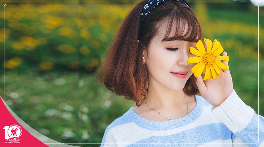 Du lịch Miền Trung - Nha Trang - Đà Lạt mùa Hoa Dã Quỳ khởi hành từ Sài Gòn