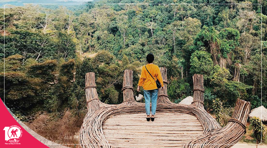 Du Lịch Đà Lạt - Hoa Sơn Điền Trang - Vườn hoa Actiso dịp lễ 2/9
